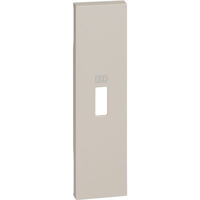 غطاء شاحن USB بيج